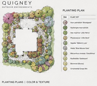 Planting plan emphasizing color and texture